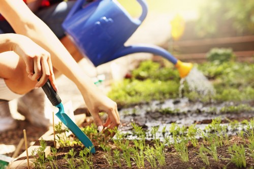 Landscaping team preparing a garden project quotation and site review