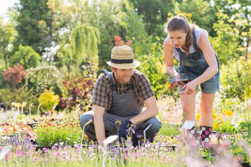 Image symbolising screen-reader compatible content for a local landscaping page
