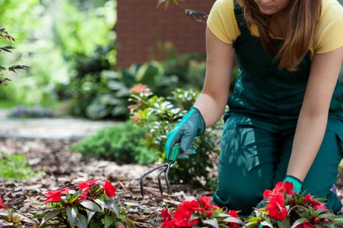 Garden landscaping works in progress with safe site access and equipment