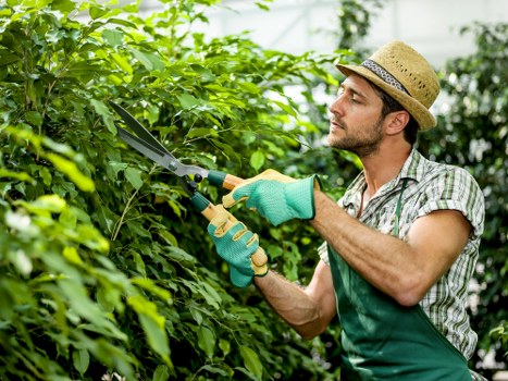 Load-based landscaping quote assessment in Crouchend