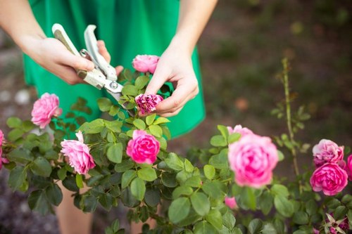 Private residential garden landscaping in Crouch End with structured beds
