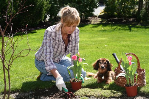 Patio, planting, and pathway features in a local garden landscaping project