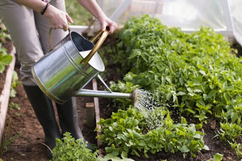 A carefully planned garden layout with structural planting